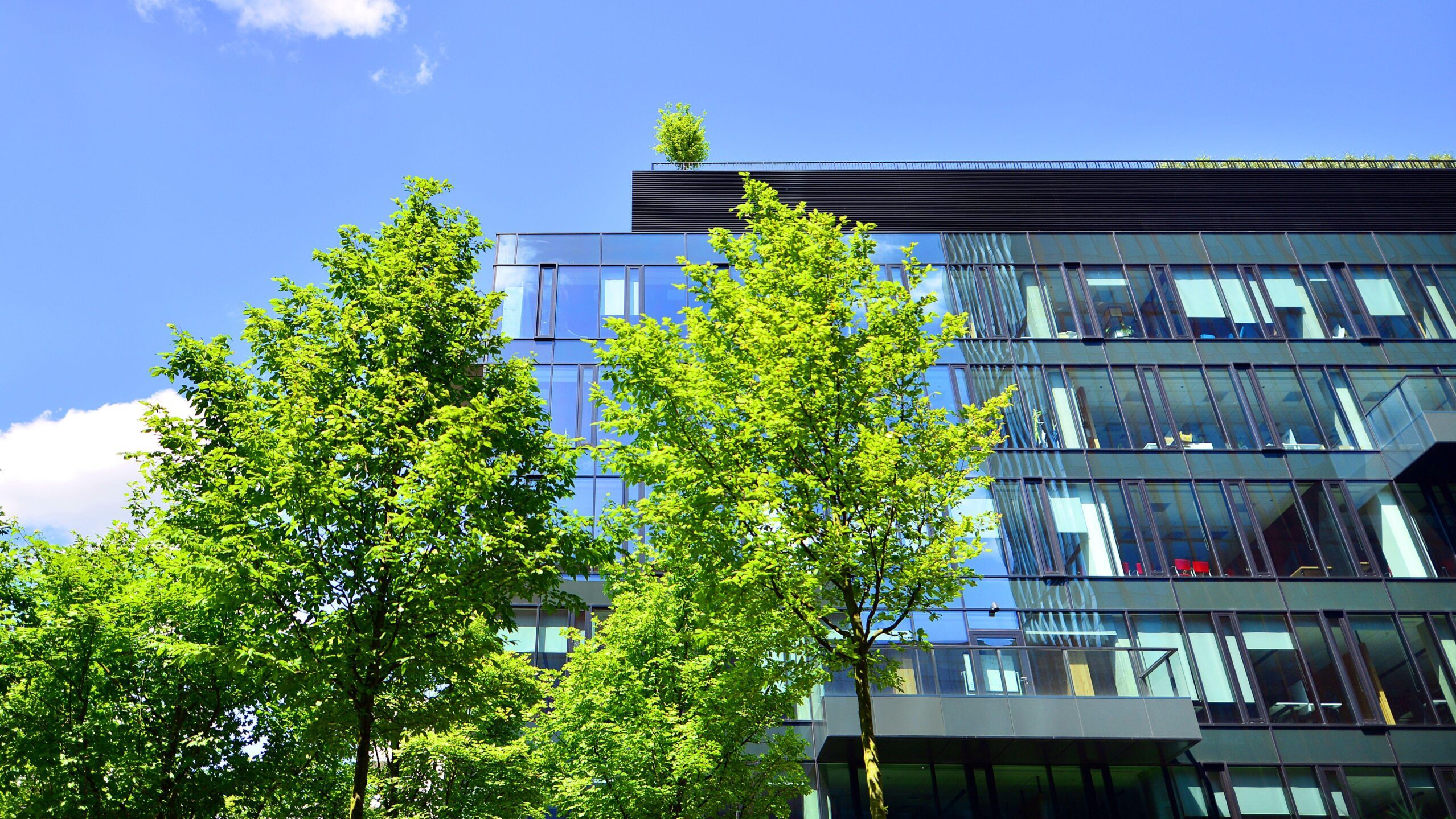 City, Architecture, Building