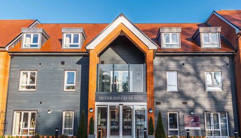 Plant, City, Architecture