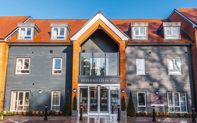 Plant, City, Architecture