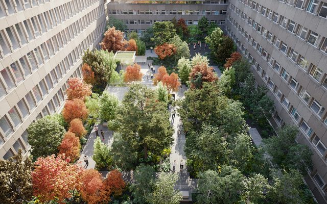 City, Urban, Plant