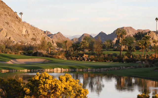 Field, Nature, Outdoors