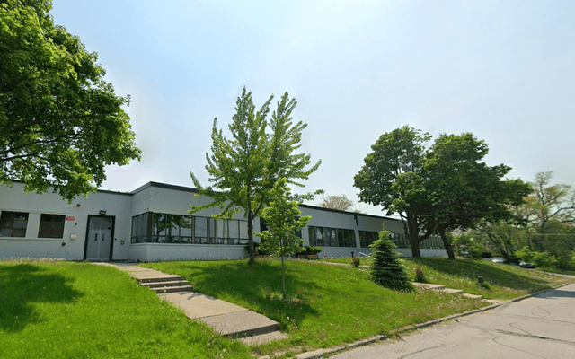 Grass, Plant, Neighborhood