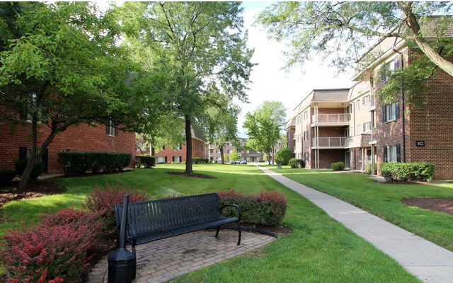 Grass, Plant, Neighborhood