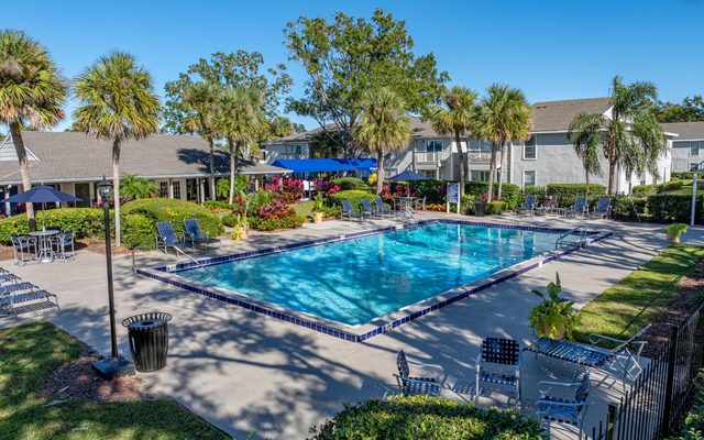 Pool, Water, Swimming Pool