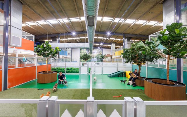Play Area, Indoors, Interior Design