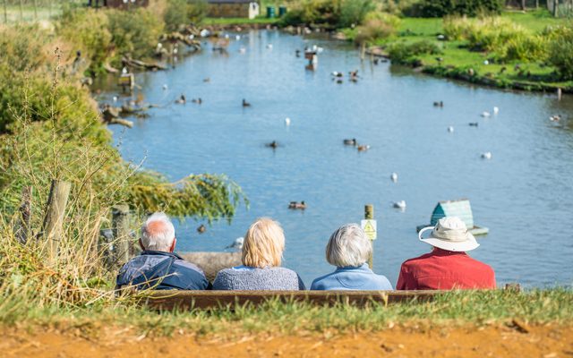 Nature, Outdoors, Pond