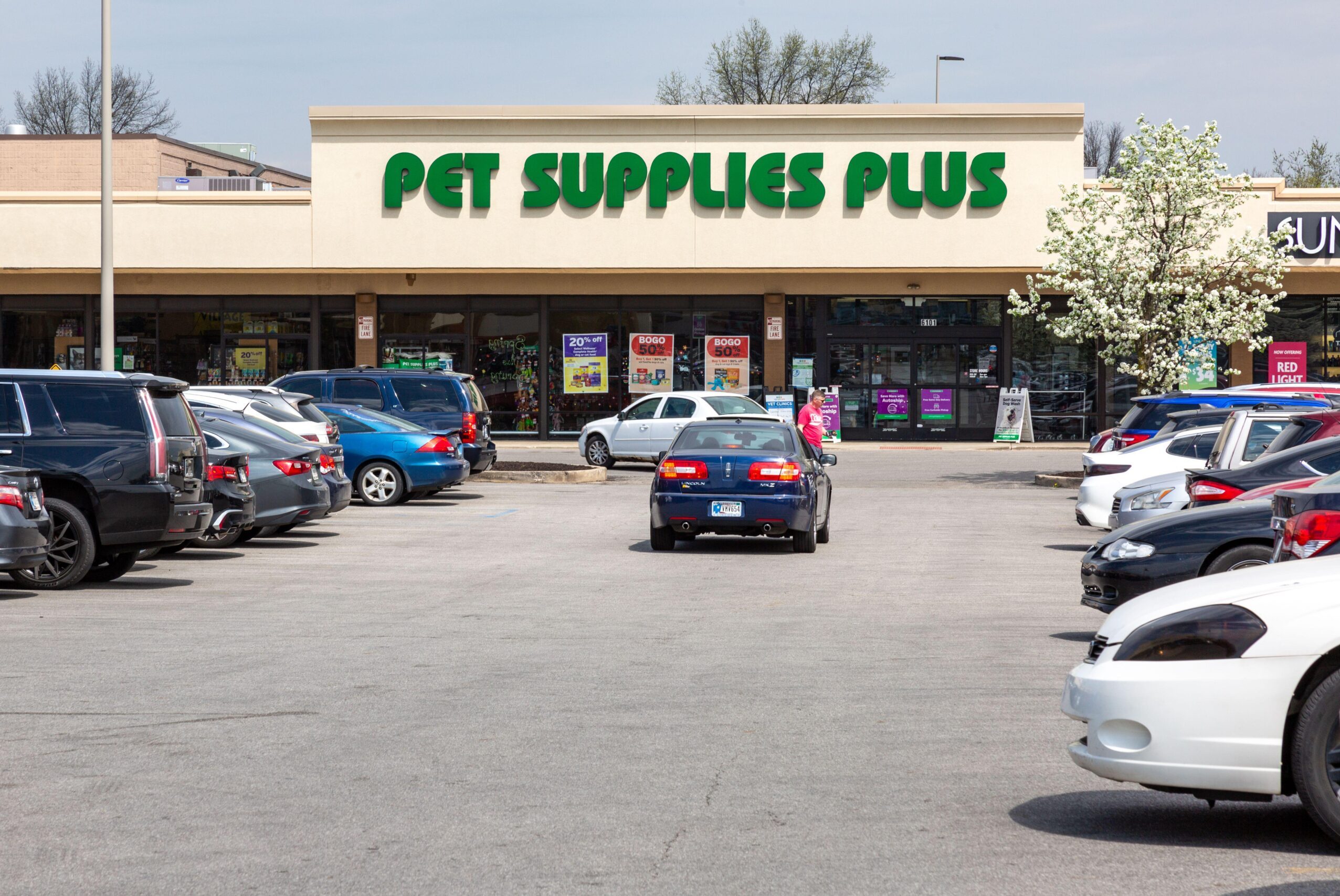 Car, Transportation, Vehicle