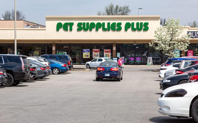 Car, Transportation, Vehicle