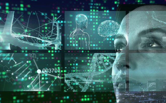 Adult, Female, Person