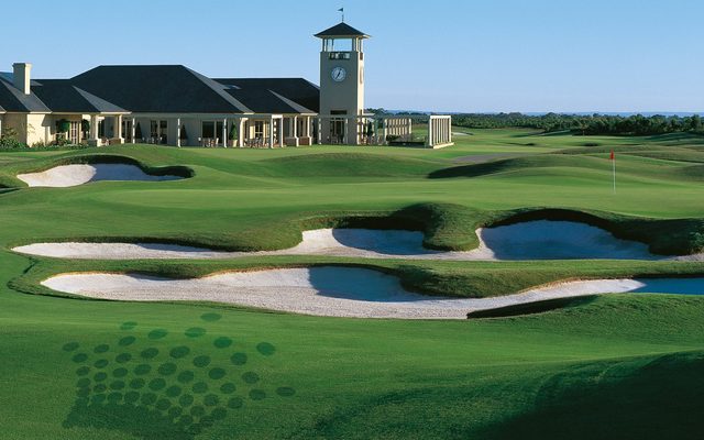 Field, Nature, Outdoors