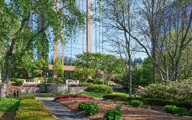 Grass, Nature, Outdoors