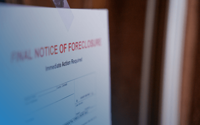 Text, Document, Business Card