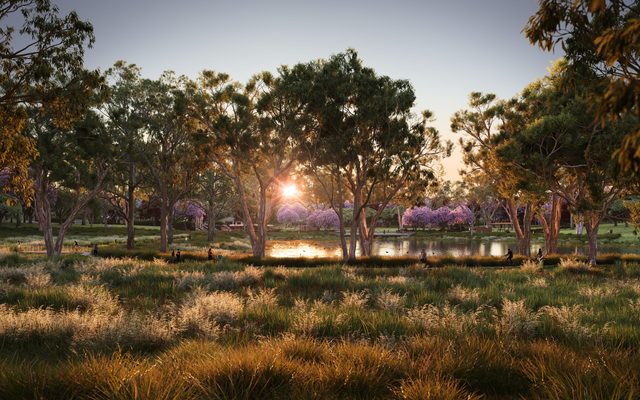 Grass, Nature, Outdoors