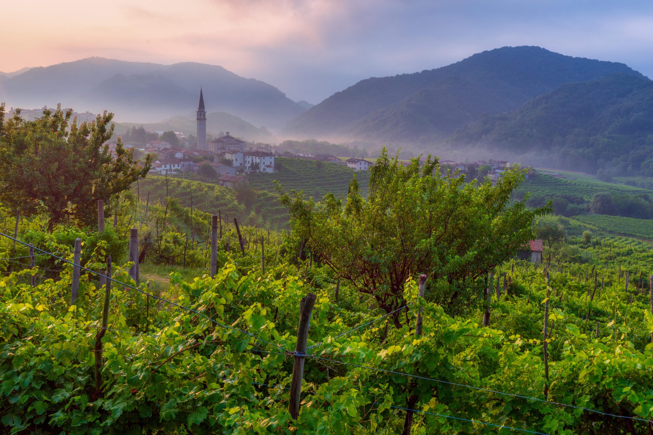 Nature, Outdoors, Countryside