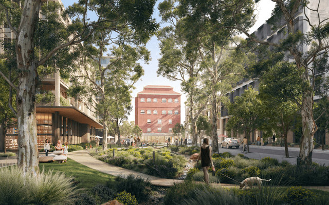 Person, Walking, Neighborhood