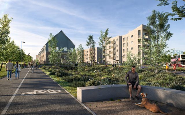 Person, Walking, City