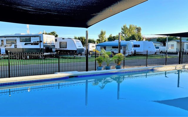 Plant, Car, Transportation