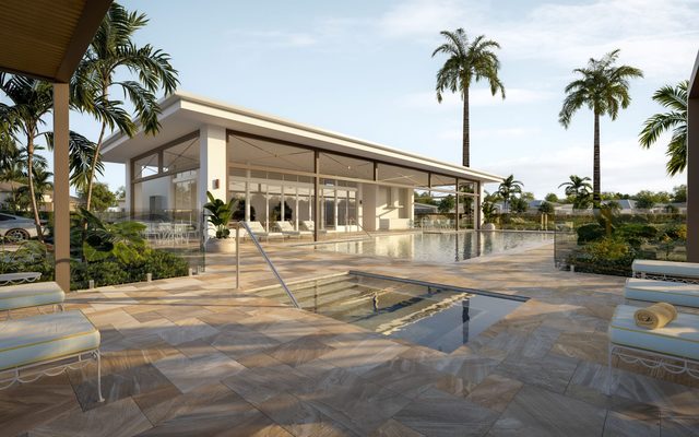 Floor, Flooring, Plant