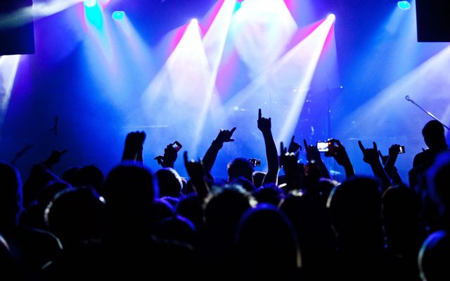 Concert, Crowd, Person