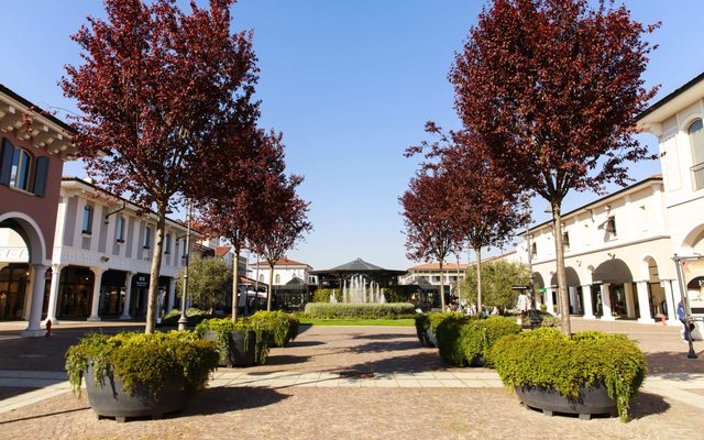 Neighborhood, City, Plant