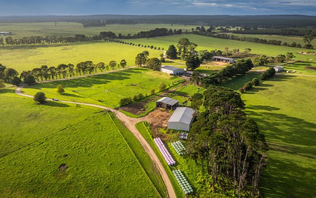 Outdoors, Nature, Countryside
