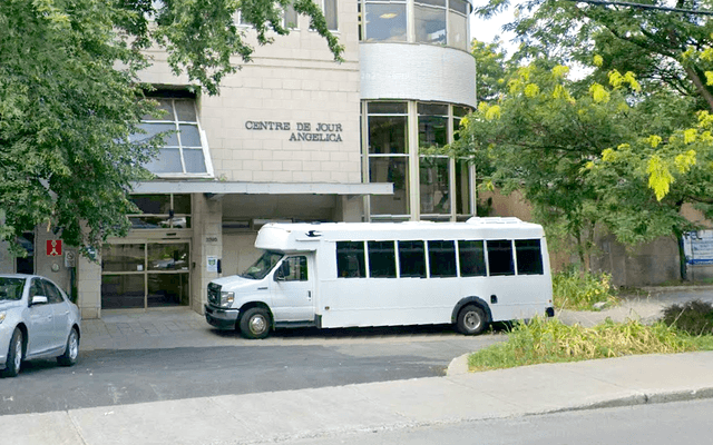 Bus, Transportation, Vehicle
