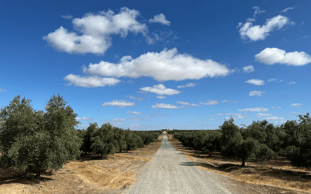 Nature, Outdoors, Sky