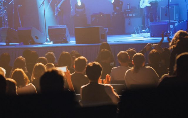 Concert, Crowd, Person