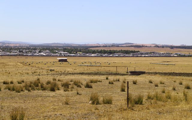 Field, Grassland, Nature