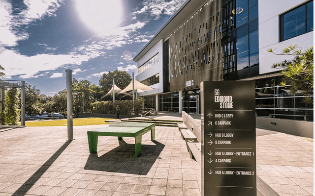 Ping Pong, Sport