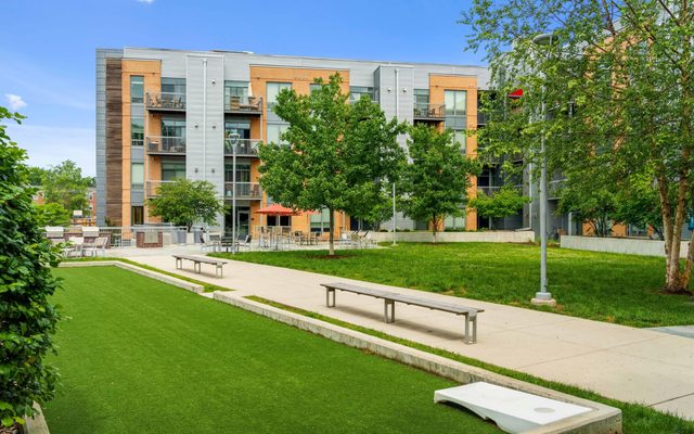 Grass, Plant, City