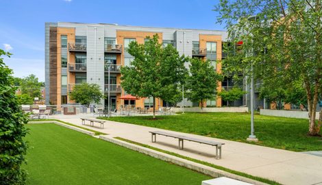 Grass, Plant, City