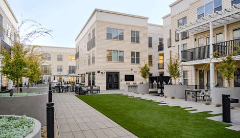 Neighborhood, City, Grass