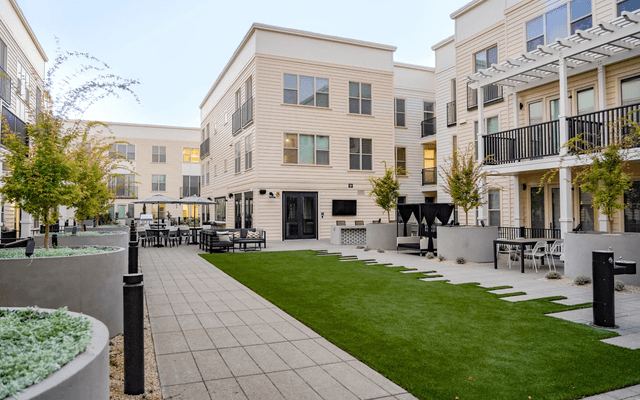 Neighborhood, City, Grass