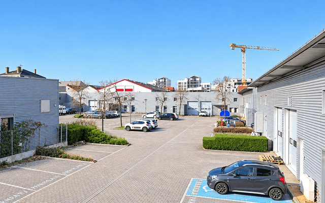 City, Neighborhood, Car