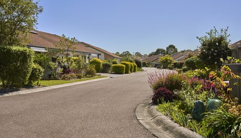 Suburb, Road, Neighborhood