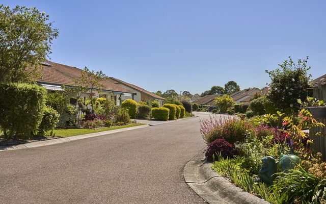 Suburb, Road, Neighborhood