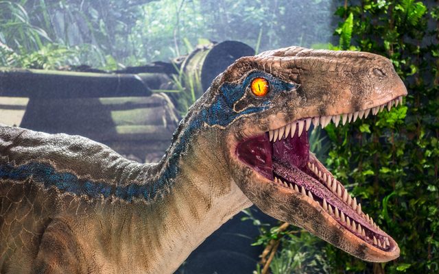 Animal, Dinosaur, Reptile